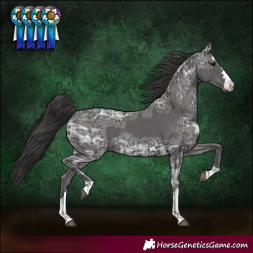 Horse Color:Smoky Black Ice 