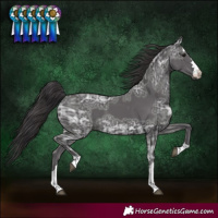 Horse Color:Smoky Black Ice 