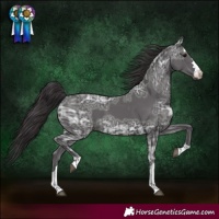 Horse Color:Smoky Black Ice