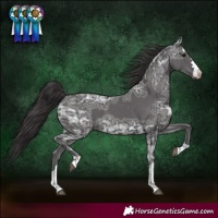 Horse Color:Smoky Black Ice