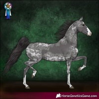 Horse Color:Smoky Black Ice 