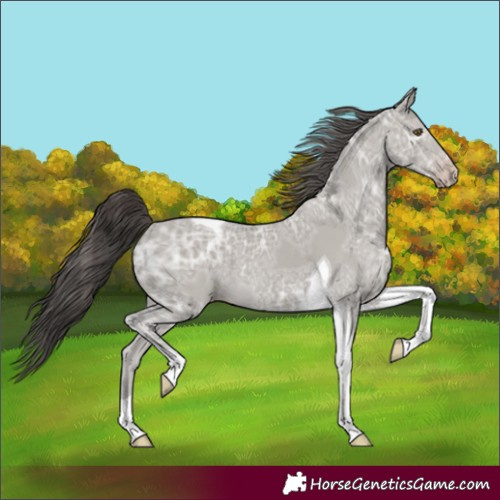 Horse Color:Classic Cream Champagne Ice Tobiano 