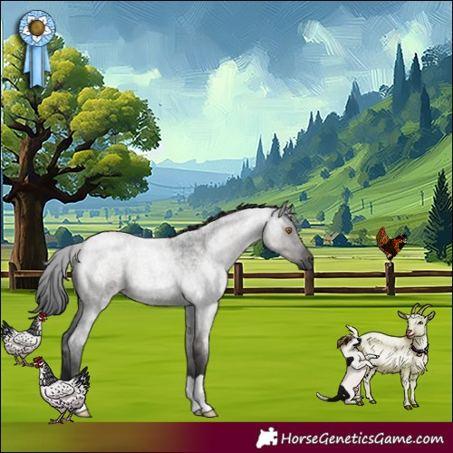 Horse Color:Grullo Roan 