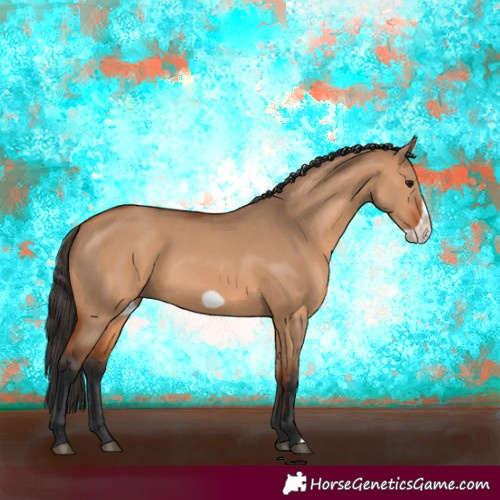 Horse Color:Bay Dun Frame