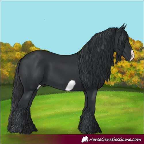 Horse Color:Black Frame 