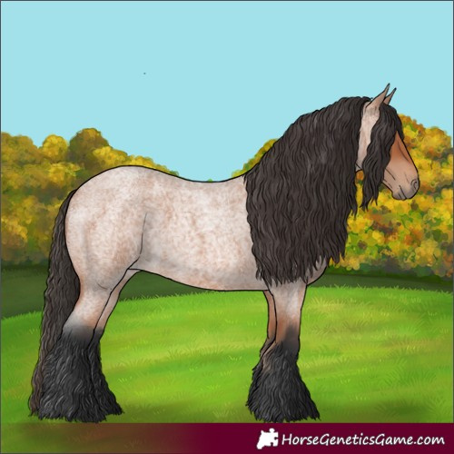 Horse Color:Bay Roan 