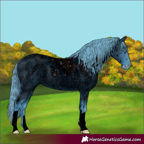 Horse Color:ERROR: UNKNOWN ANOMALY