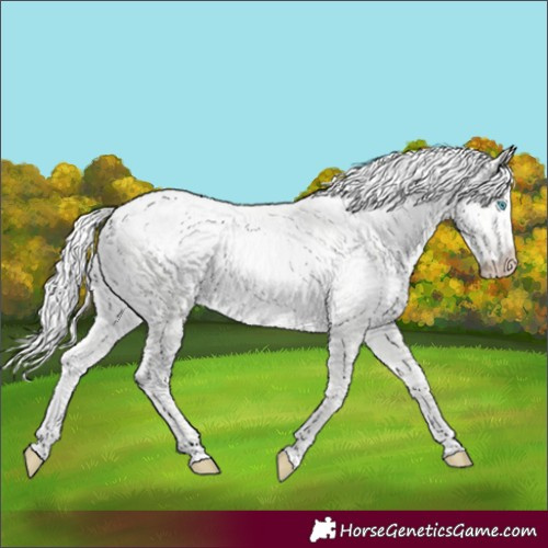 Horse Color:Cremello Dun 