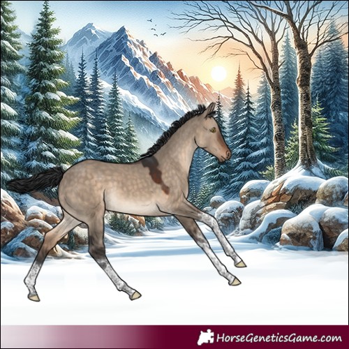 Horse Color:White Spotted Brown Dun Tobiano