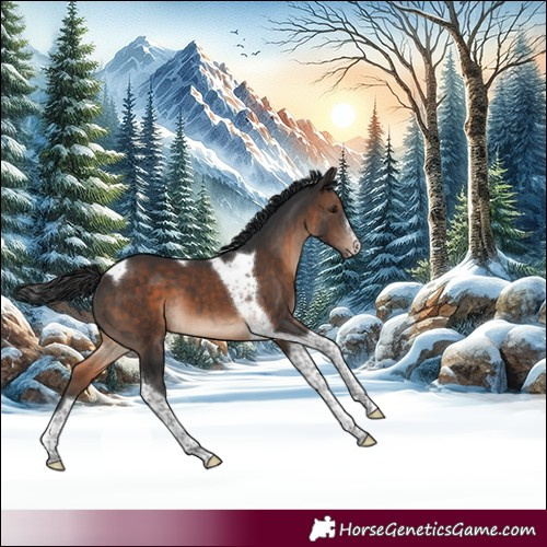 Horse Color:White Spotted Brown Tobiano 