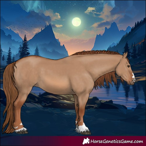 Horse Color:Red Dun