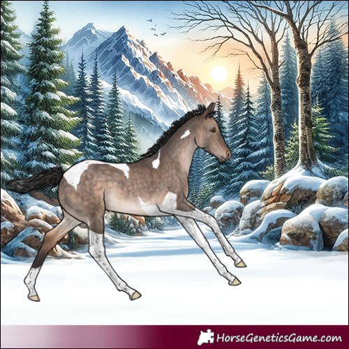 Horse Color:Brown Dun Tobiano