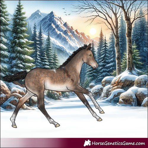 Horse Color:Brown Dun Sabino Tobiano