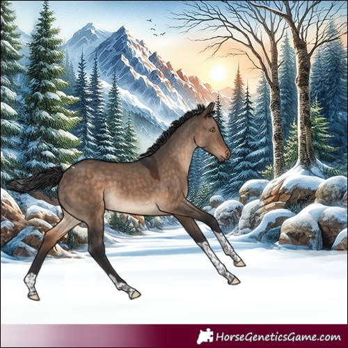 Horse Color:Brown Dun Tobiano 