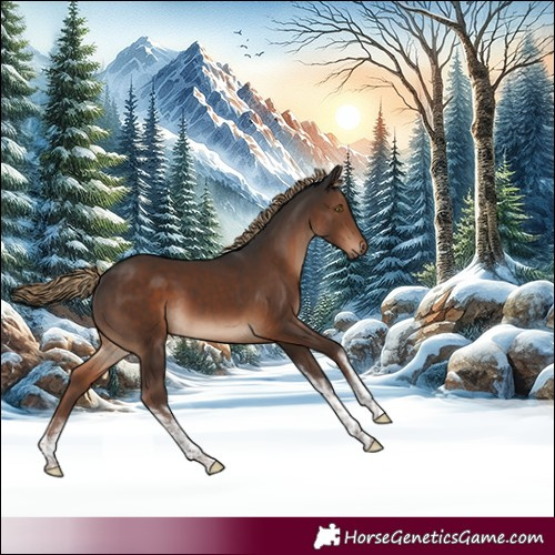 Horse Color:White Spotted Liver Chestnut 