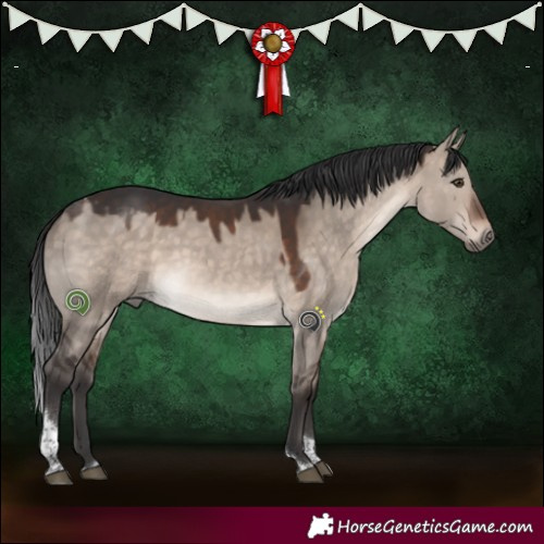 Horse Color:White Spotted Brown Dun Mushroom Tobiano 