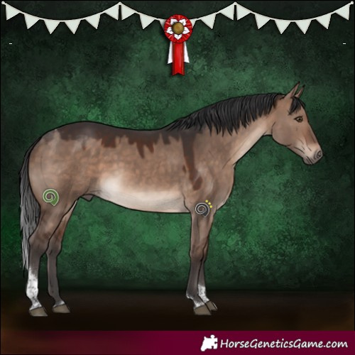 Horse Color:White Spotted Brown Dun Mushroom Tobiano