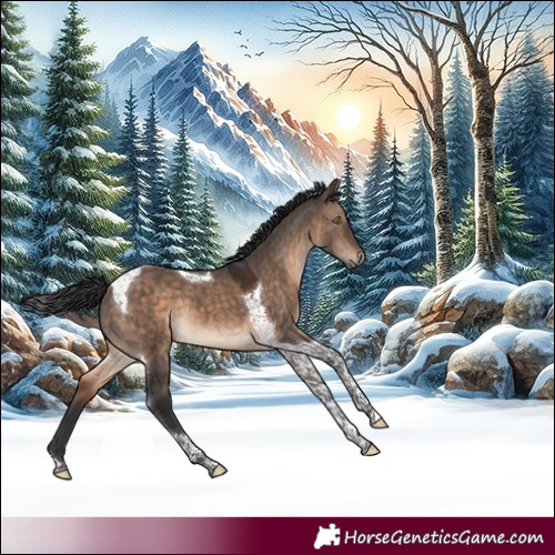 Horse Color:Brown Dun Tobiano 