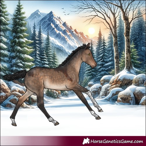 Horse Color:Brown Dun Tobiano