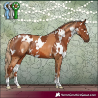 Horse Color:Chestnut Sabino and White Spotted Chestnut