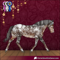 Horse Color:White Spotted Liver Chestnut Snowflake Varnish