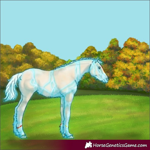 Horse Color:Thunderstruck Silver Smoky Grullo Pearl Splash Rabicano