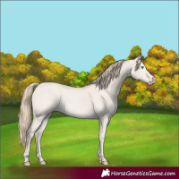 Horse Color:Smoky Creme Dun
