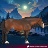 Horse Color:Brown 