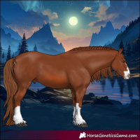Horse Color:Chestnut 