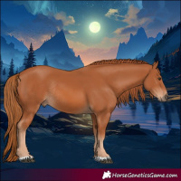 Horse Color:Chestnut Rabicano 