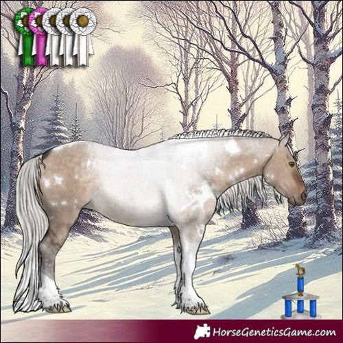 Horse Color:White Spotted Silver Brown Dun Tobiano Rabicano 