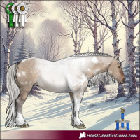 Horse Color:White Spotted Silver Brown Dun Tobiano Rabicano