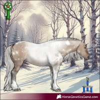 Horse Color:White Spotted Silver Brown Dun Tobiano Rabicano 