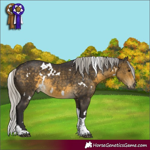 Horse Color:White Spotted Silver Buckskin Tobiano Rabicano 