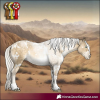 Horse Color:White Spotted Silver Buckskin Pearl 