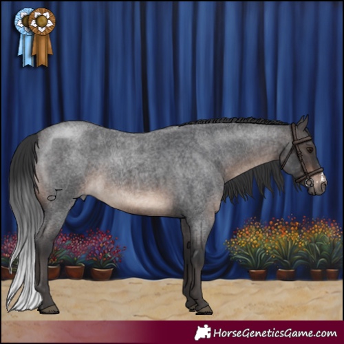 Horse Color:Brown Roan Sabino 