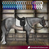 Horse Color:Brown Roan Sabino 