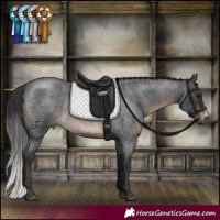 Horse Color:Brown Roan Sabino
