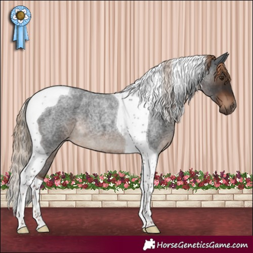 Horse Color:Liver Red Roan Tobiano 