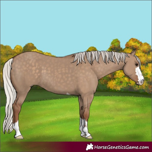 Horse Color:Silver Grullo 