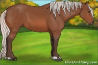 Horse Color:Silver Bay 