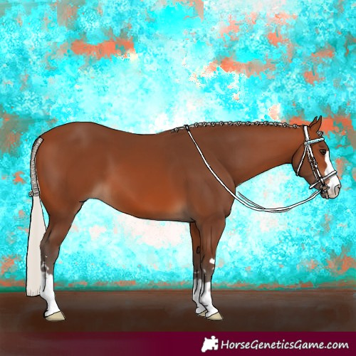Horse Color:Silver Brown