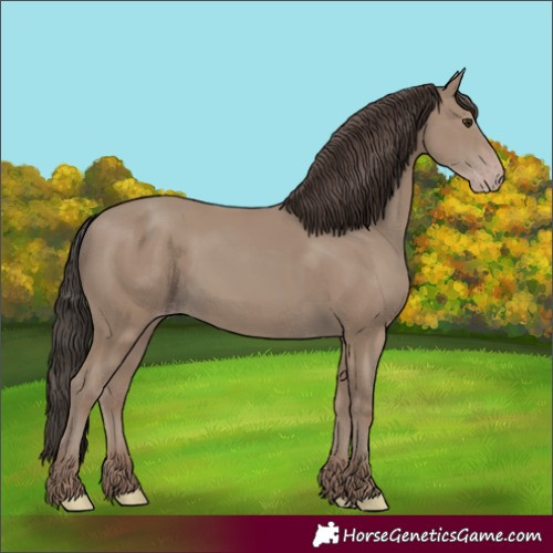 Horse Color:Classic Champagne 
