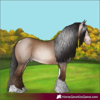 Horse Color:Gray Amber Champagne Tobiano 