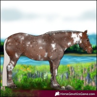 Horse Color:White Spotted Silver Brown 