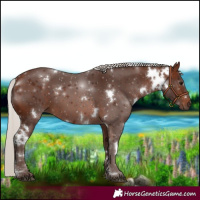 Horse Color:White Spotted Silver Brown 