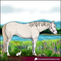 Horse Color:Smoky Creme Dun Sabino
