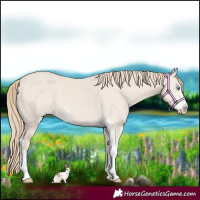 Horse Color:Smoky Creme Dun Sabino