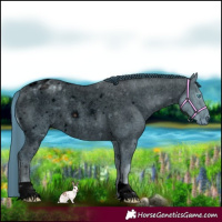 Horse Color:ERROR: UNKNOWN ANOMALY