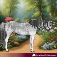 Horse Color:White Spotted Blue Roan Rabicano  and White Spotted Blue Roan Rabicano 